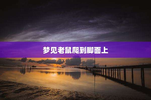 梦见老鼠爬到脚面上