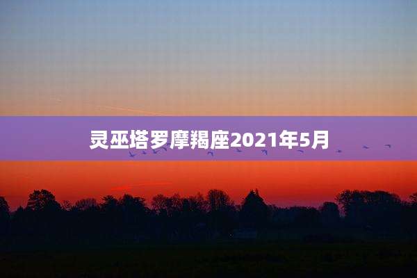 灵巫塔罗摩羯座2021年5月