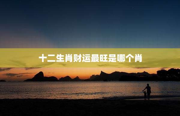 十二生肖财运最旺是哪个肖