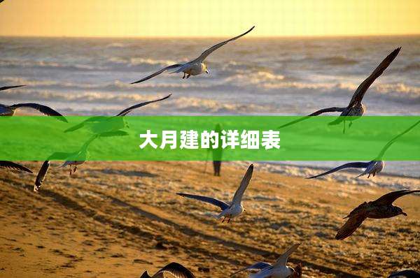 大月建的详细表