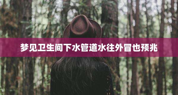 梦见卫生间下水管道水往外冒也预兆