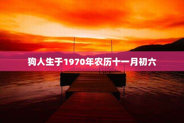 狗人生于1970年农历十一月初六