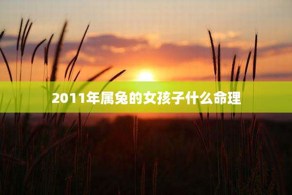 2011年属兔的女孩子什么命理