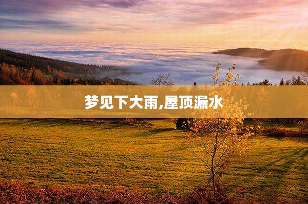 梦见下大雨,屋顶漏水