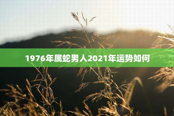1976年属蛇男人2021年运势如何
