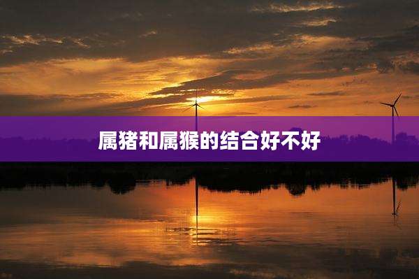 属猪和属猴的结合好不好