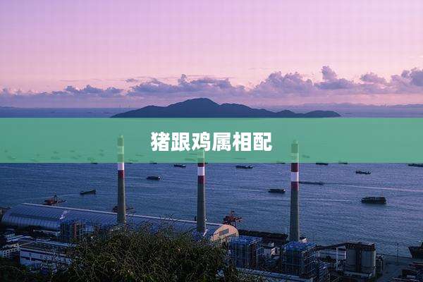 猪跟鸡属相配