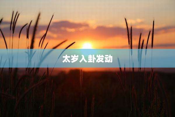 太岁入卦发动