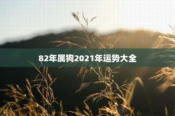 82年属狗2021年运势大全