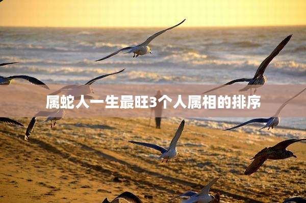 属蛇人一生最旺3个人属相的排序