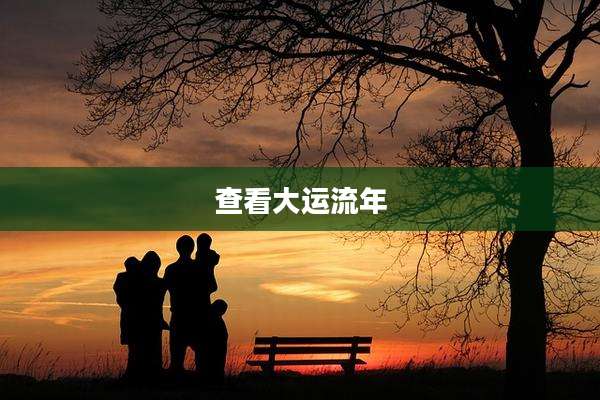 查看大运流年