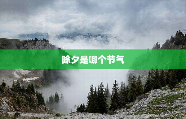 除夕是哪个节气