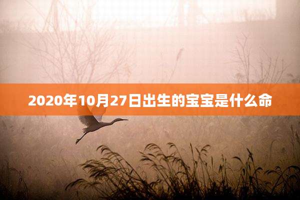 2020年10月27日出生的宝宝是什么命
