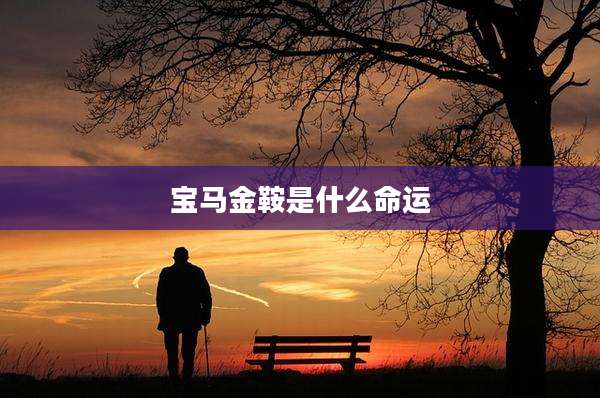 宝马金鞍是什么命运