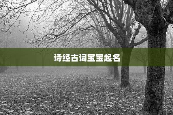 诗经古词宝宝起名