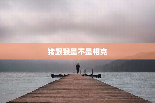 猪跟猴是不是相克