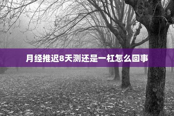 月经推迟8天测还是一杠怎么回事