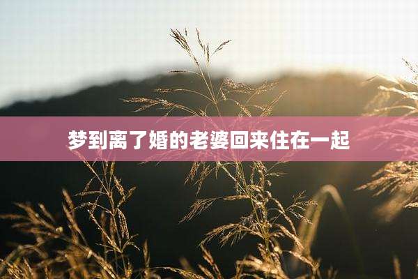 梦到离了婚的老婆回来住在一起