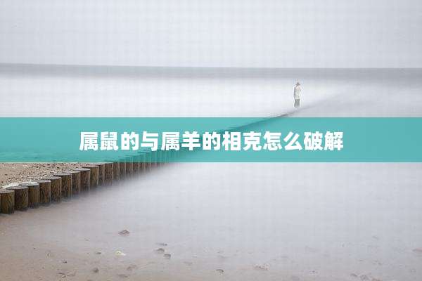 属鼠的与属羊的相克怎么破解