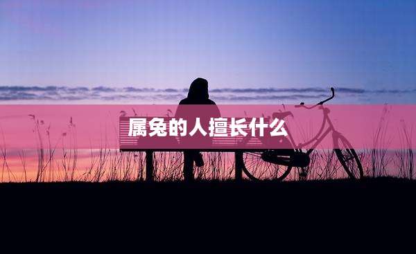 属兔的人擅长什么