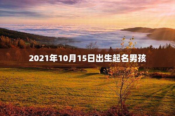 2021年10月15日出生起名男孩