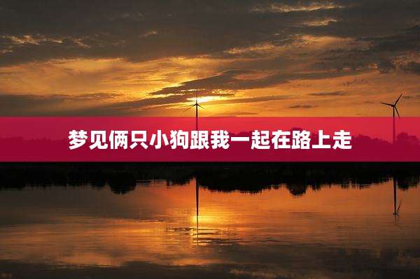 梦见俩只小狗跟我一起在路上走
