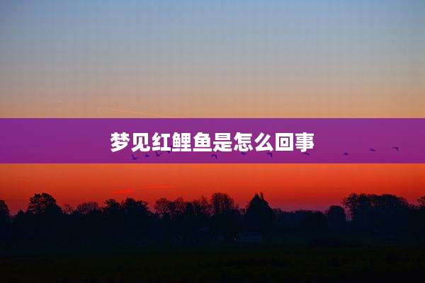 梦见红鲤鱼是怎么回事