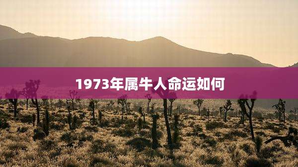 1973年属牛人命运如何
