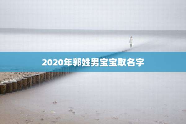 2020年郭姓男宝宝取名字