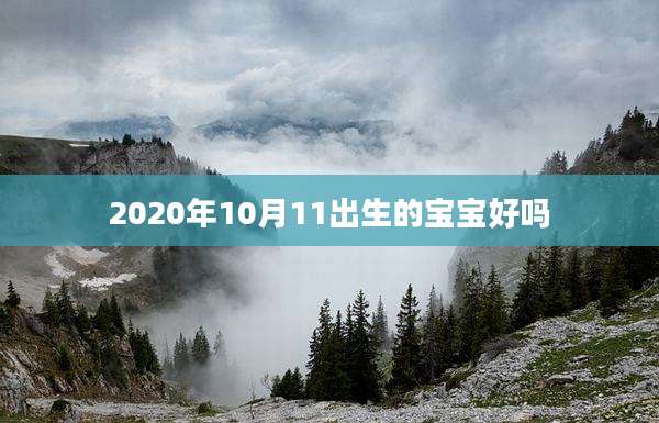 2020年10月11出生的宝宝好吗