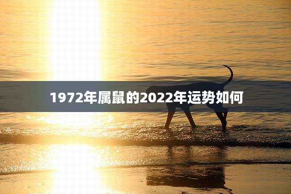 1972年属鼠的2022年运势如何