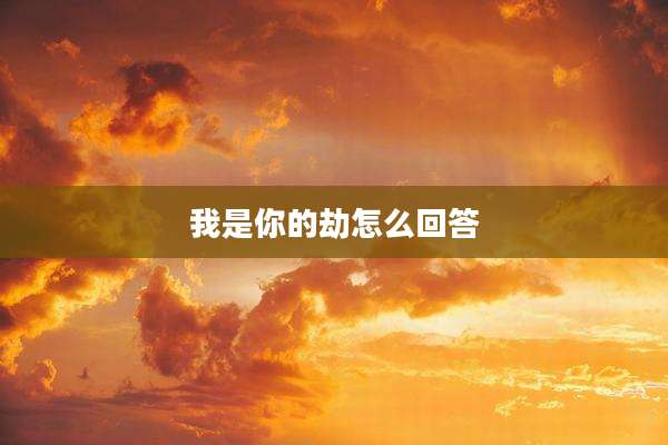 我是你的劫怎么回答