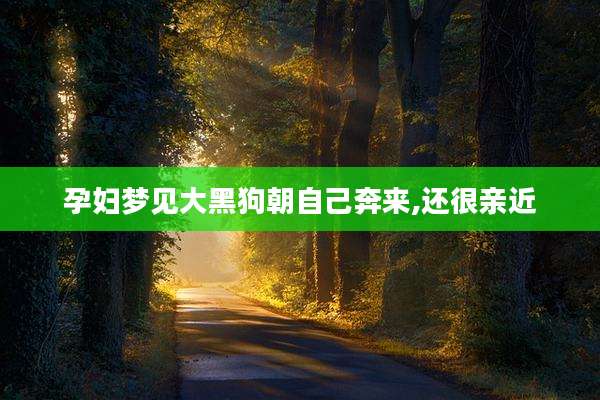 孕妇梦见大黑狗朝自己奔来,还很亲近
