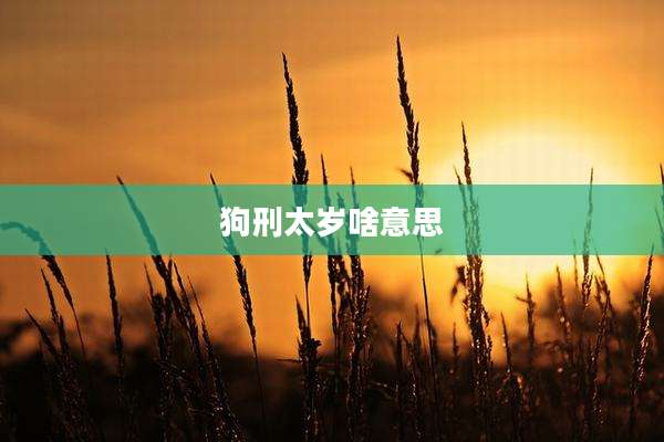 狗刑太岁啥意思