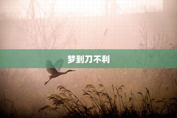 梦到刀不利
