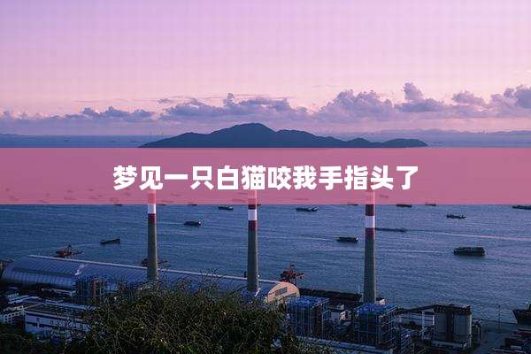 梦见一只白猫咬我手指头了