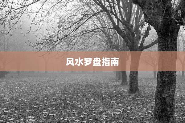 风水罗盘指南