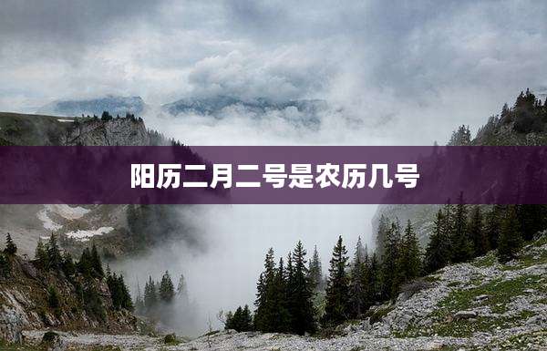 阳历二月二号是农历几号