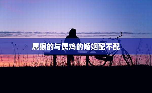 属猴的与属鸡的婚姻配不配