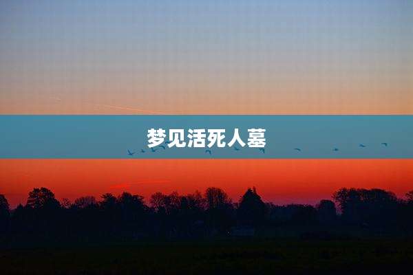 梦见活死人墓
