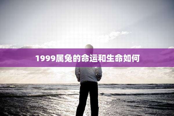 1999属兔的命运和生命如何