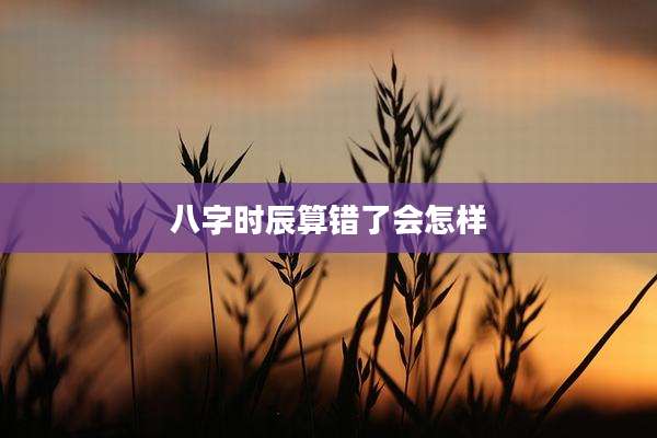 八字时辰算错了会怎样