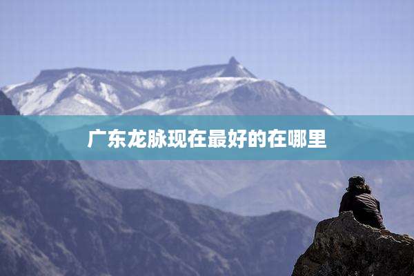 广东龙脉现在最好的在哪里