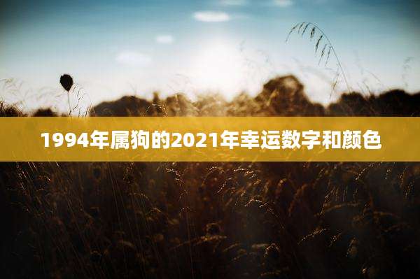 1994年属狗的2021年幸运数字和颜色
