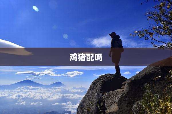 鸡猪配吗