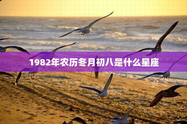 1982年农历冬月初八是什么星座