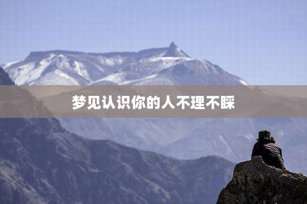 梦见认识你的人不理不睬