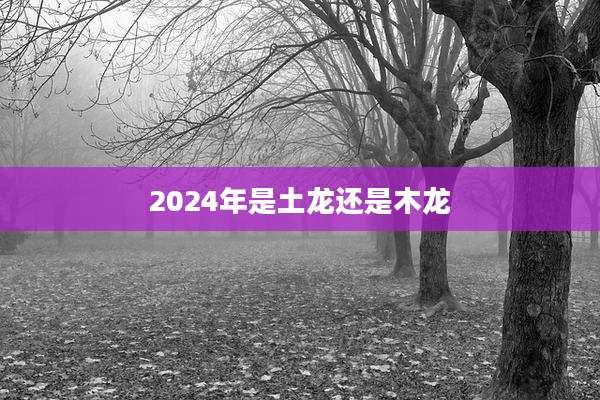 2024年是土龙还是木龙