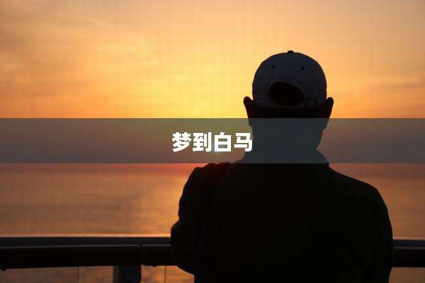 梦到白马