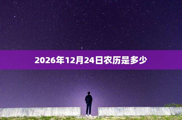 2026年12月24日农历是多少